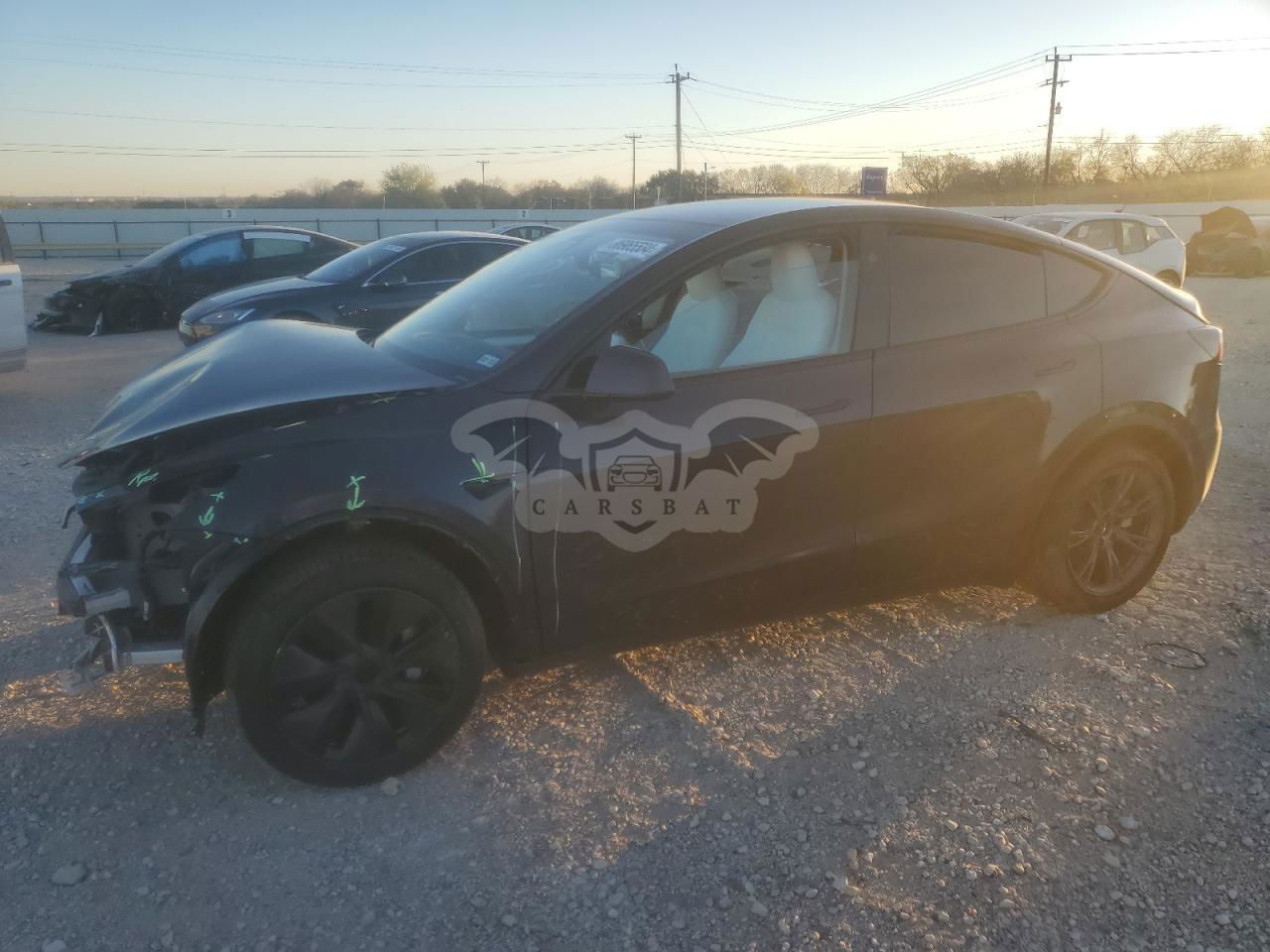 Tesla Model Y 2024