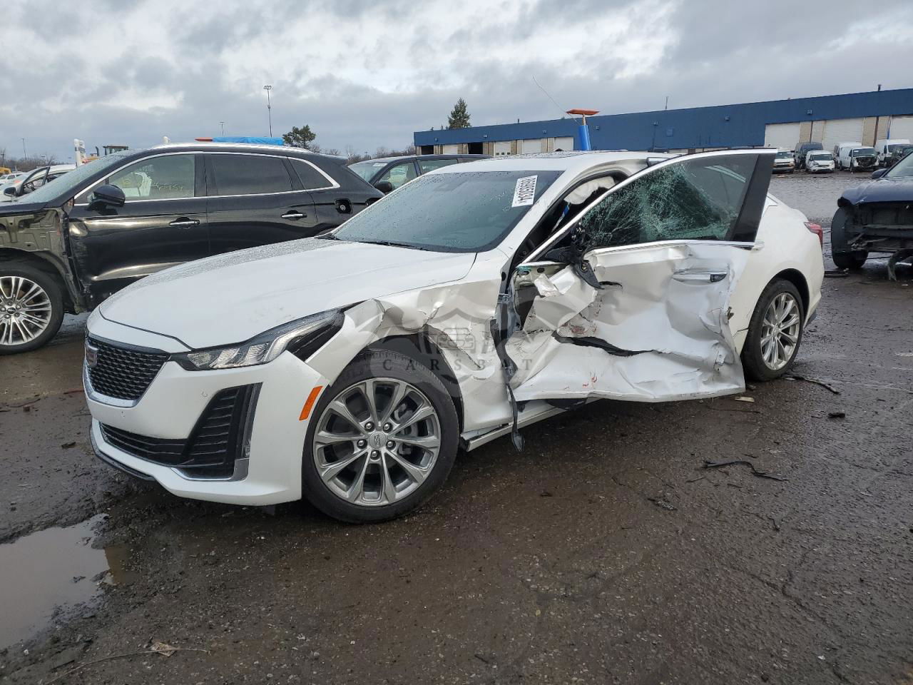 Cadillac CT5 PREMIUM LUXURY 2.0L  4 2024