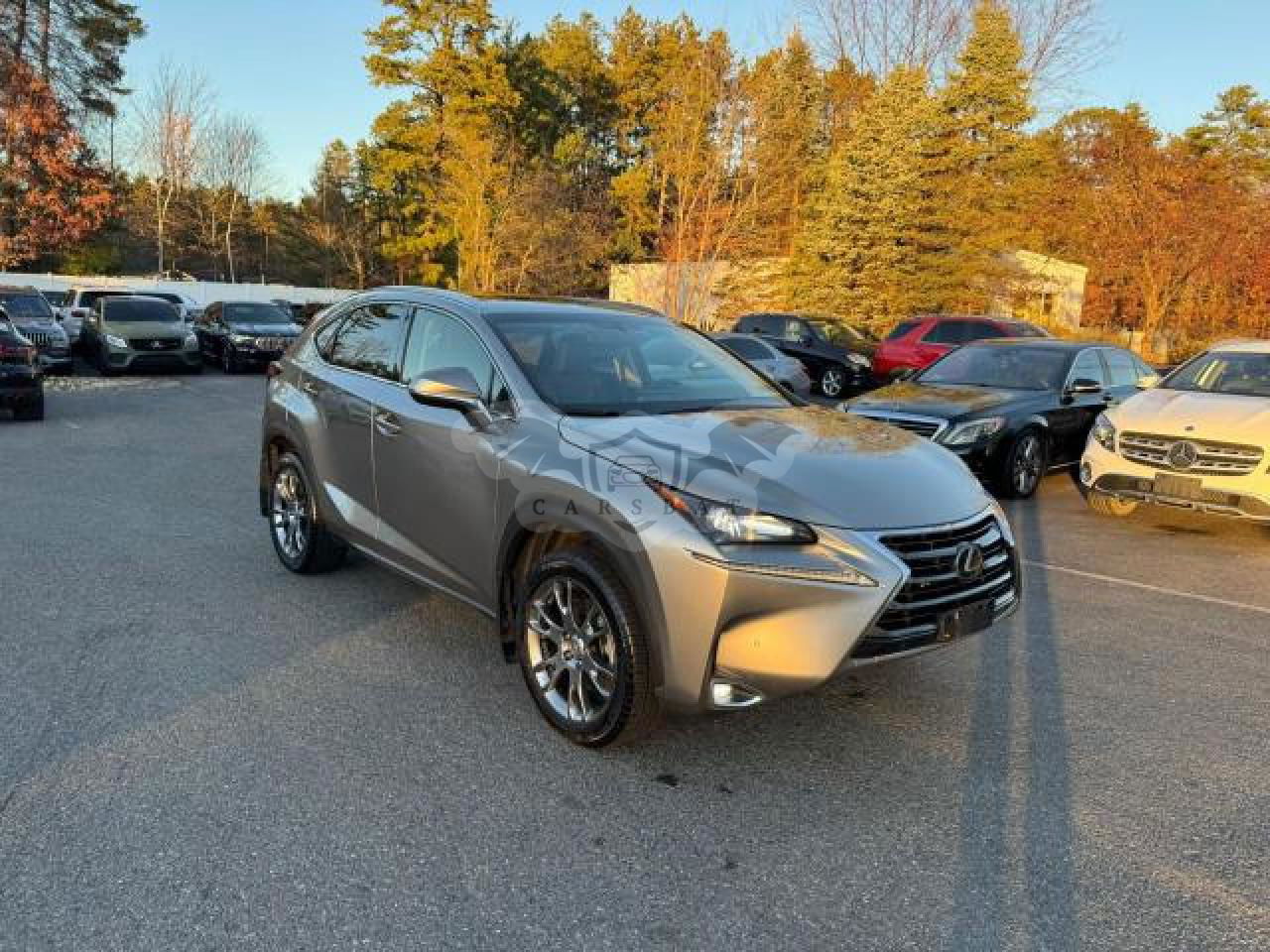 Lexus NX 2.0L  4 2017