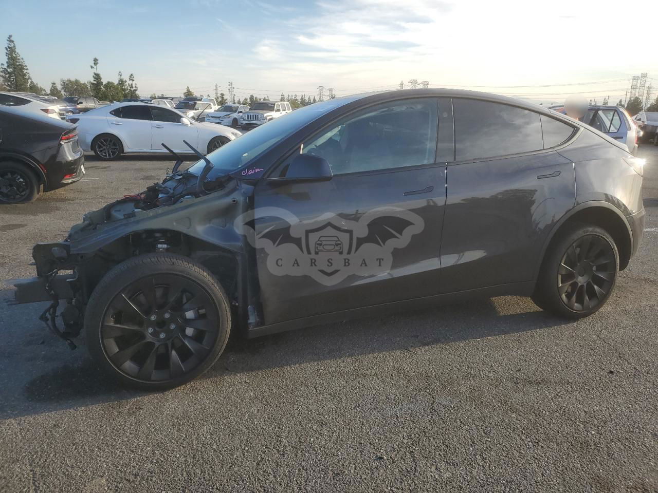 Tesla Model Y 2024