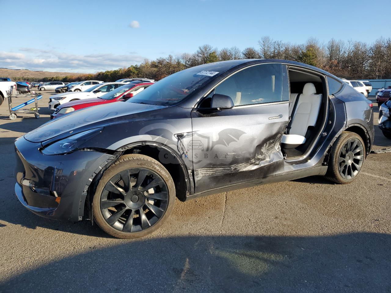 Tesla Model Y 2024