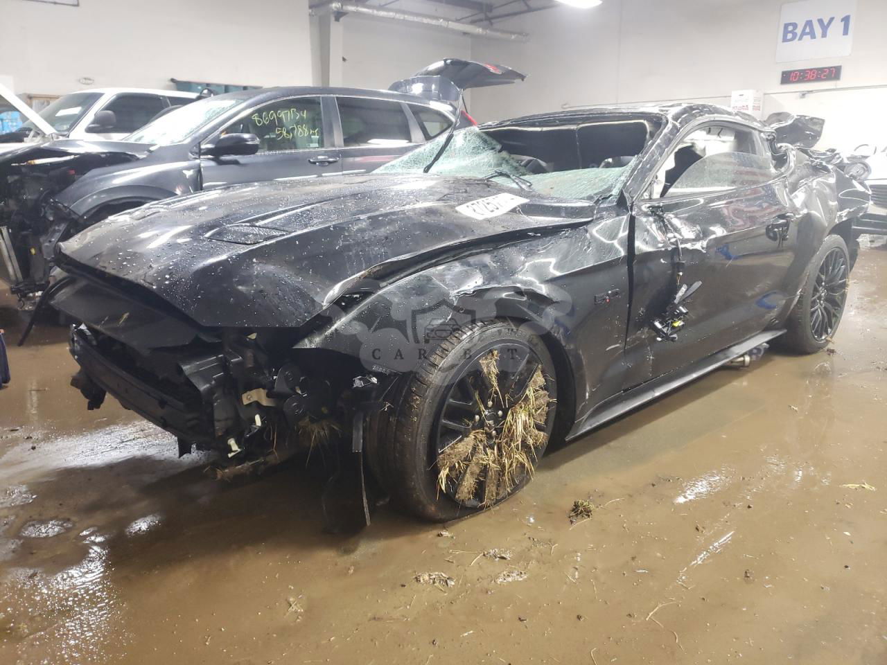 Ford Mustang GT 5.0L  8 2021