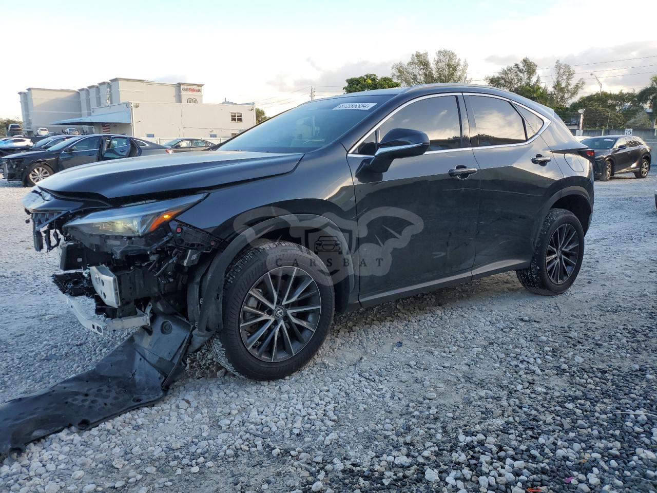 Lexus NX 250 PREMIUM 2.5L  4 2024