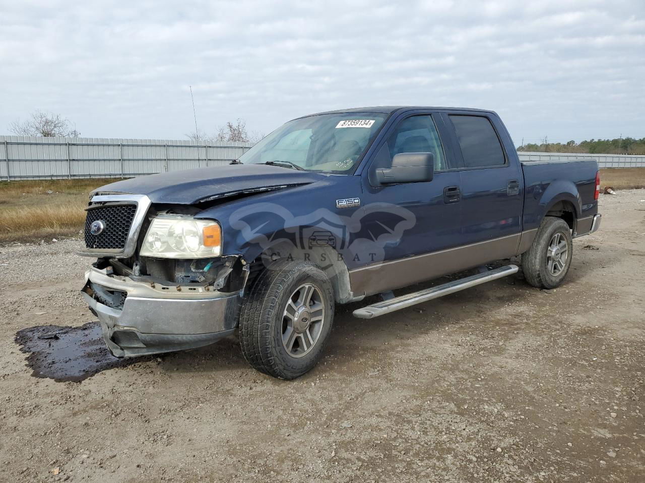 Ford F-150 SUPERCREW 4.6L  8 2005