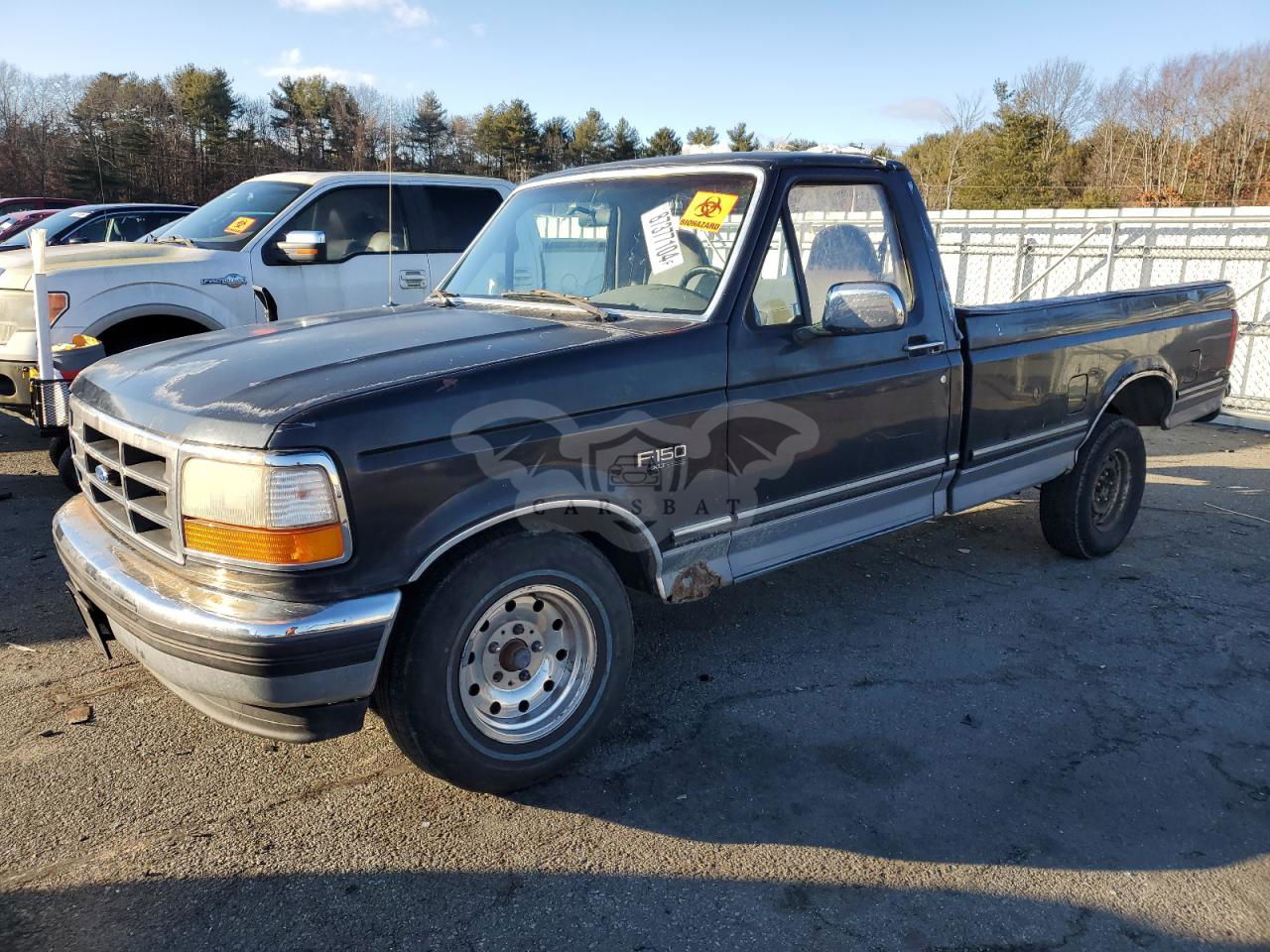 Ford F-150 5.0L  8 1995