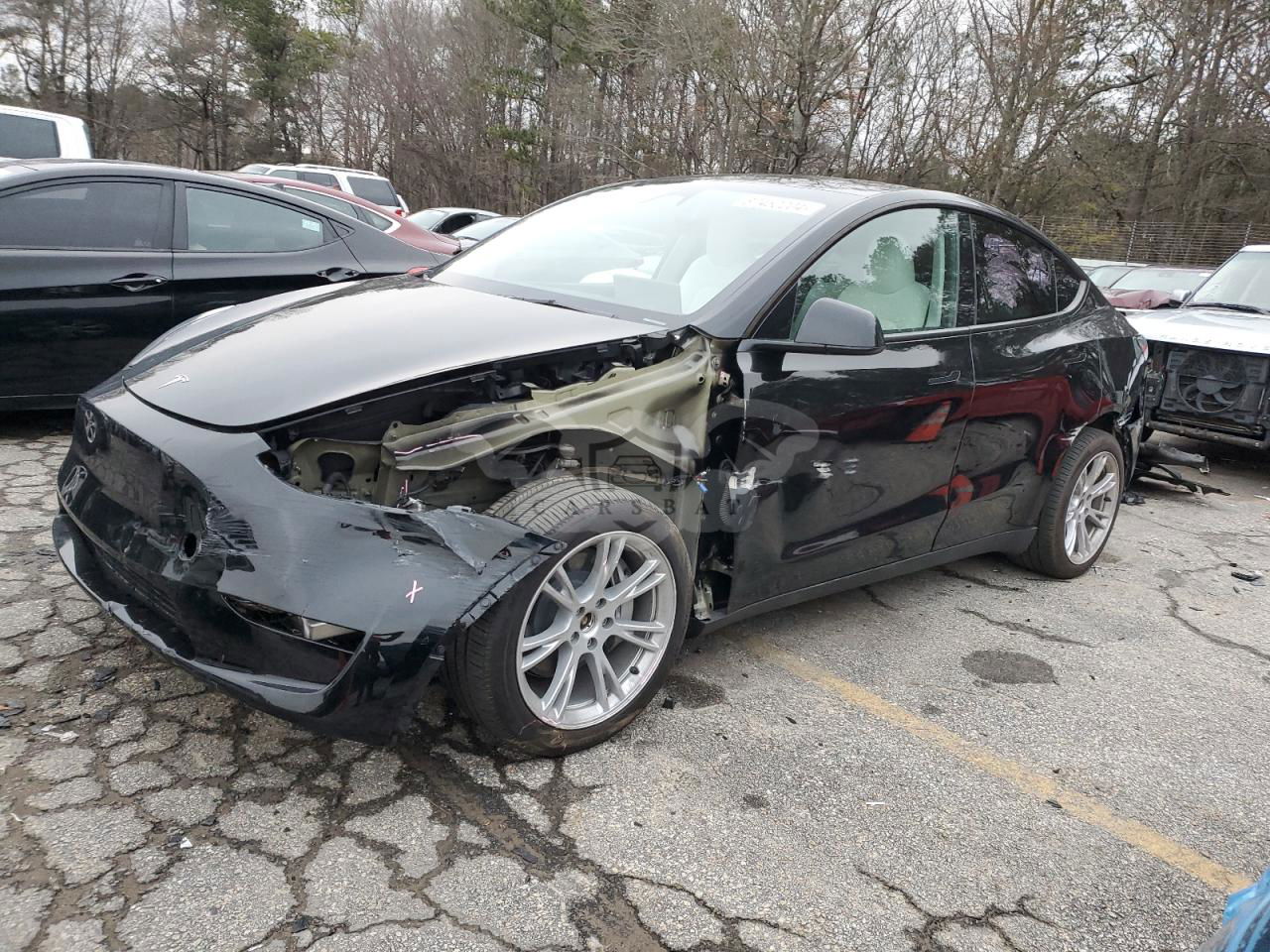 Tesla Model Y 2024