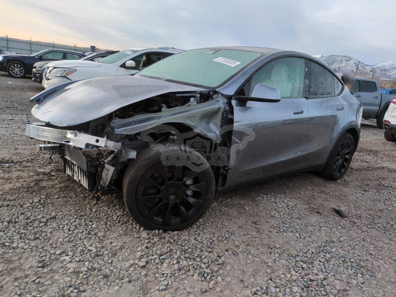 Tesla Model Y 2024
