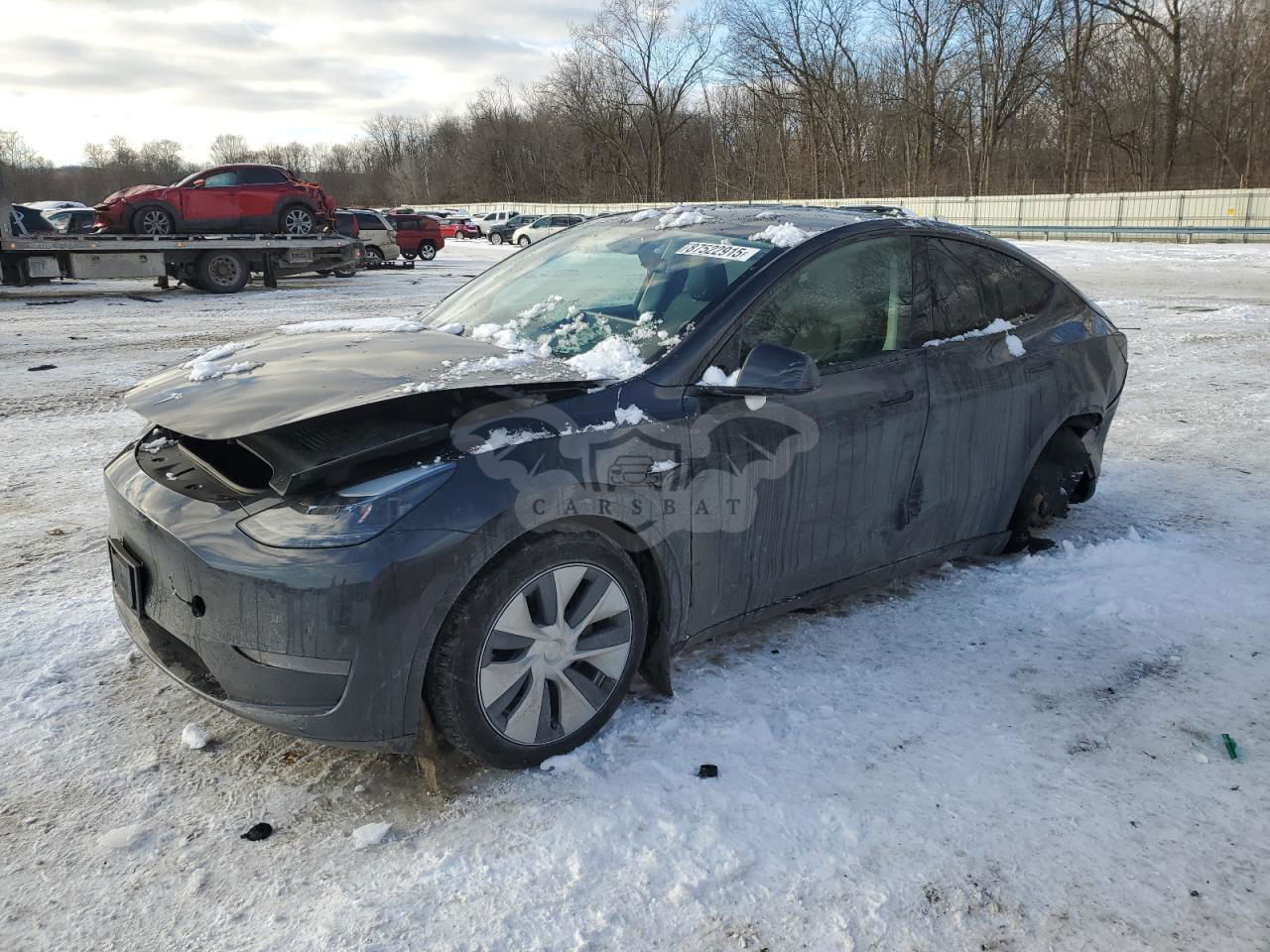 Tesla Model Y 2024