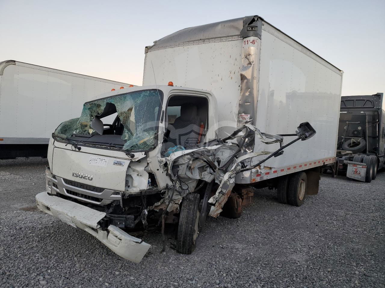 Isuzu NPR 5.2L  4 2024