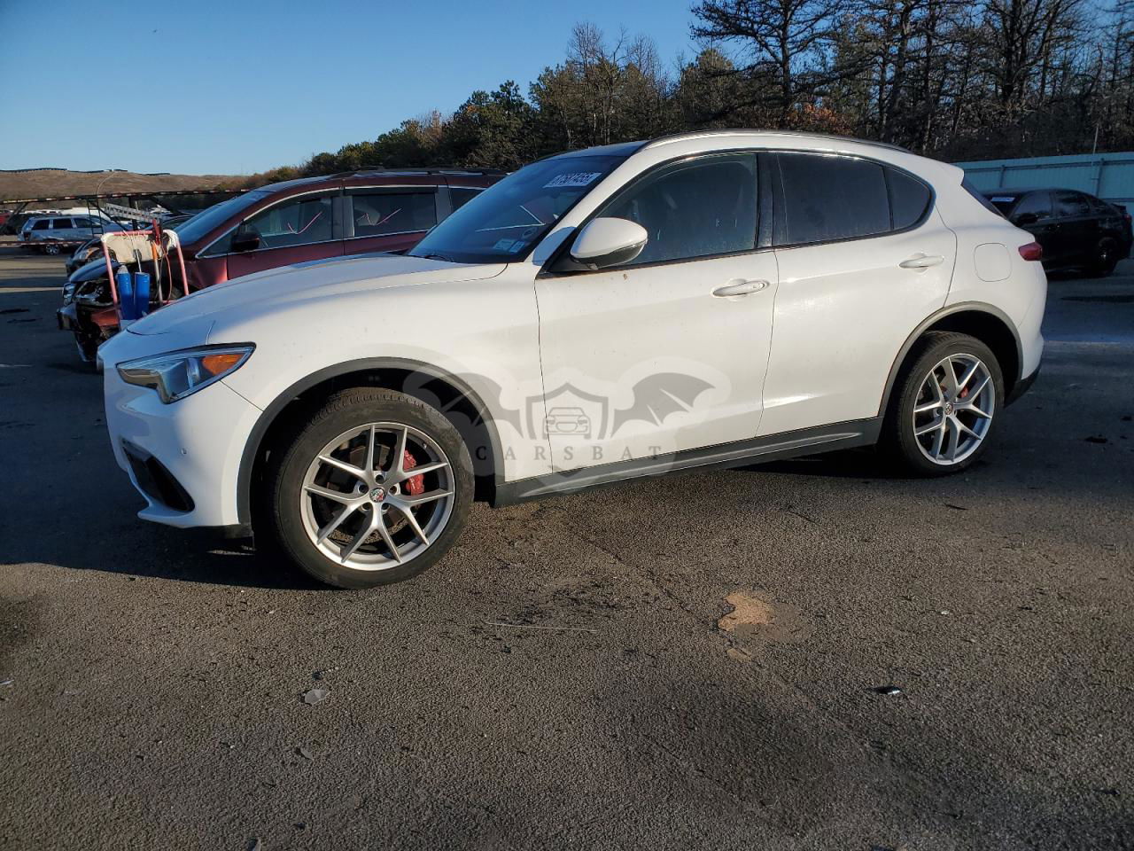 Alfa Romeo Stelvio 2.0L  4 2019