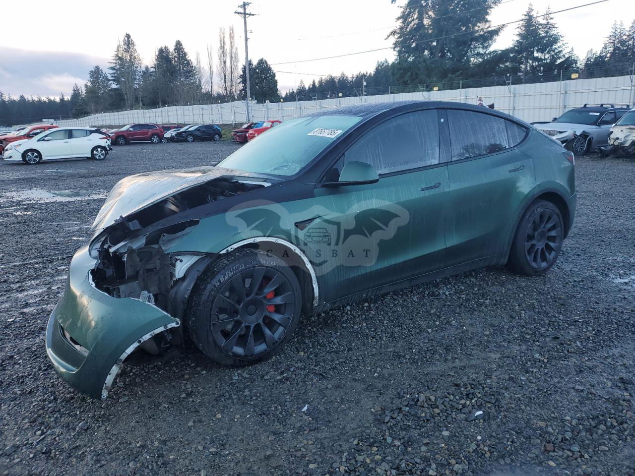 Tesla Model Y 2020