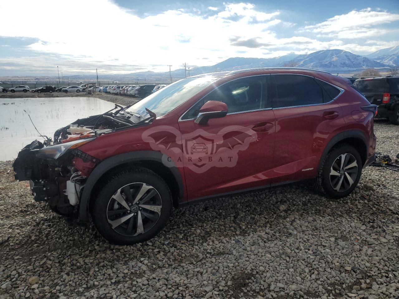 Lexus NX 2.5L  4 2020