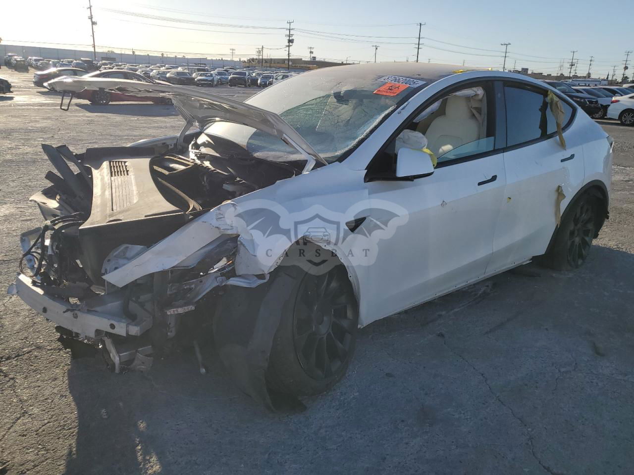 Tesla Model Y 2020