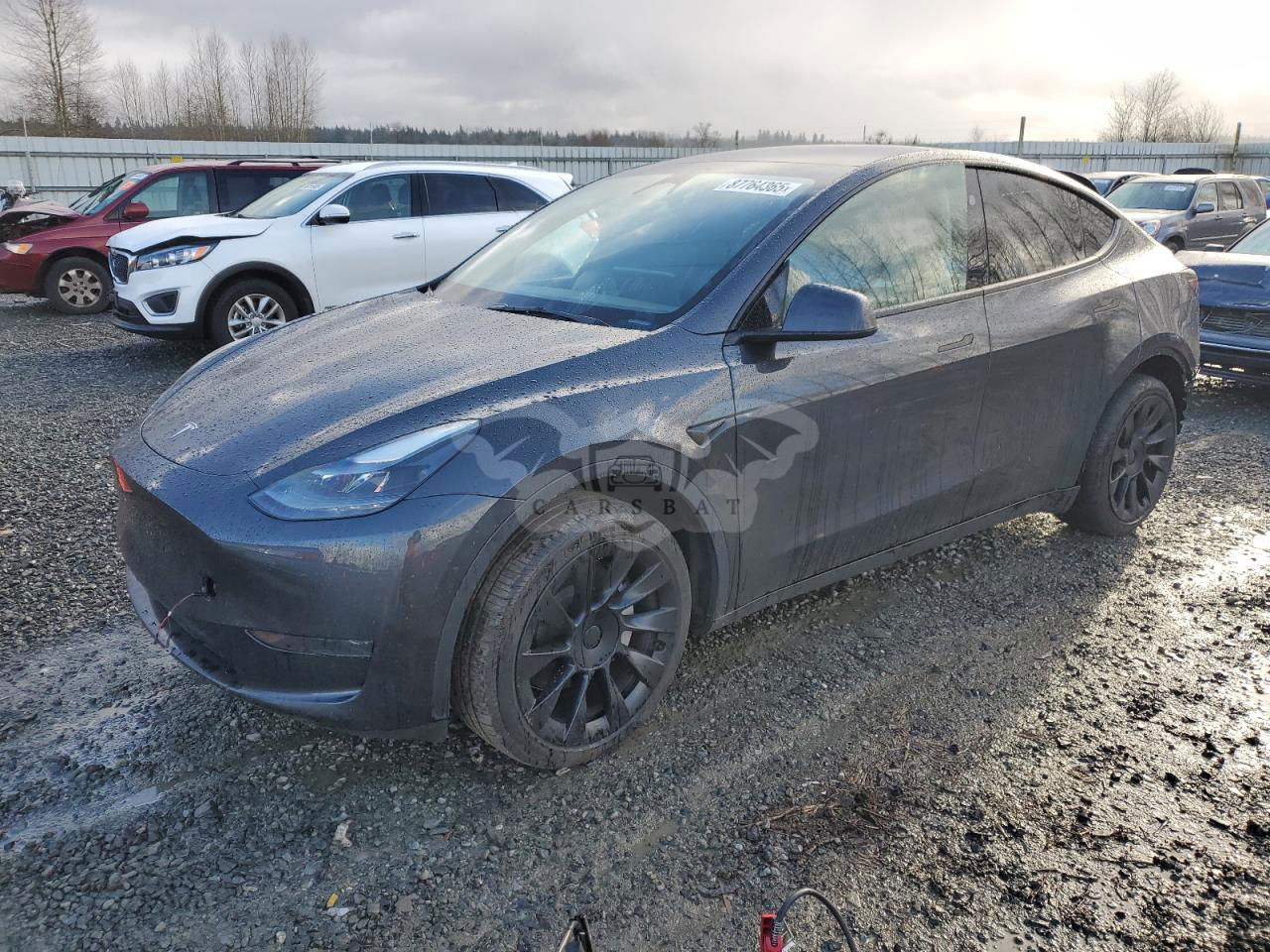 Tesla Model Y 2024