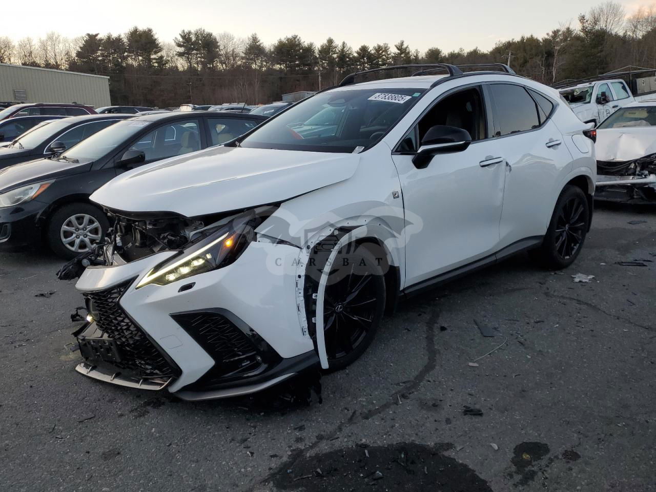 Lexus NX 2.4L  4 2024