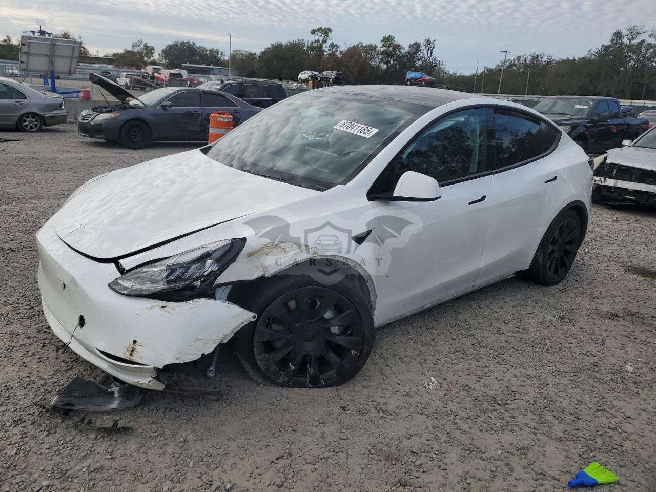 Tesla Model Y 2020