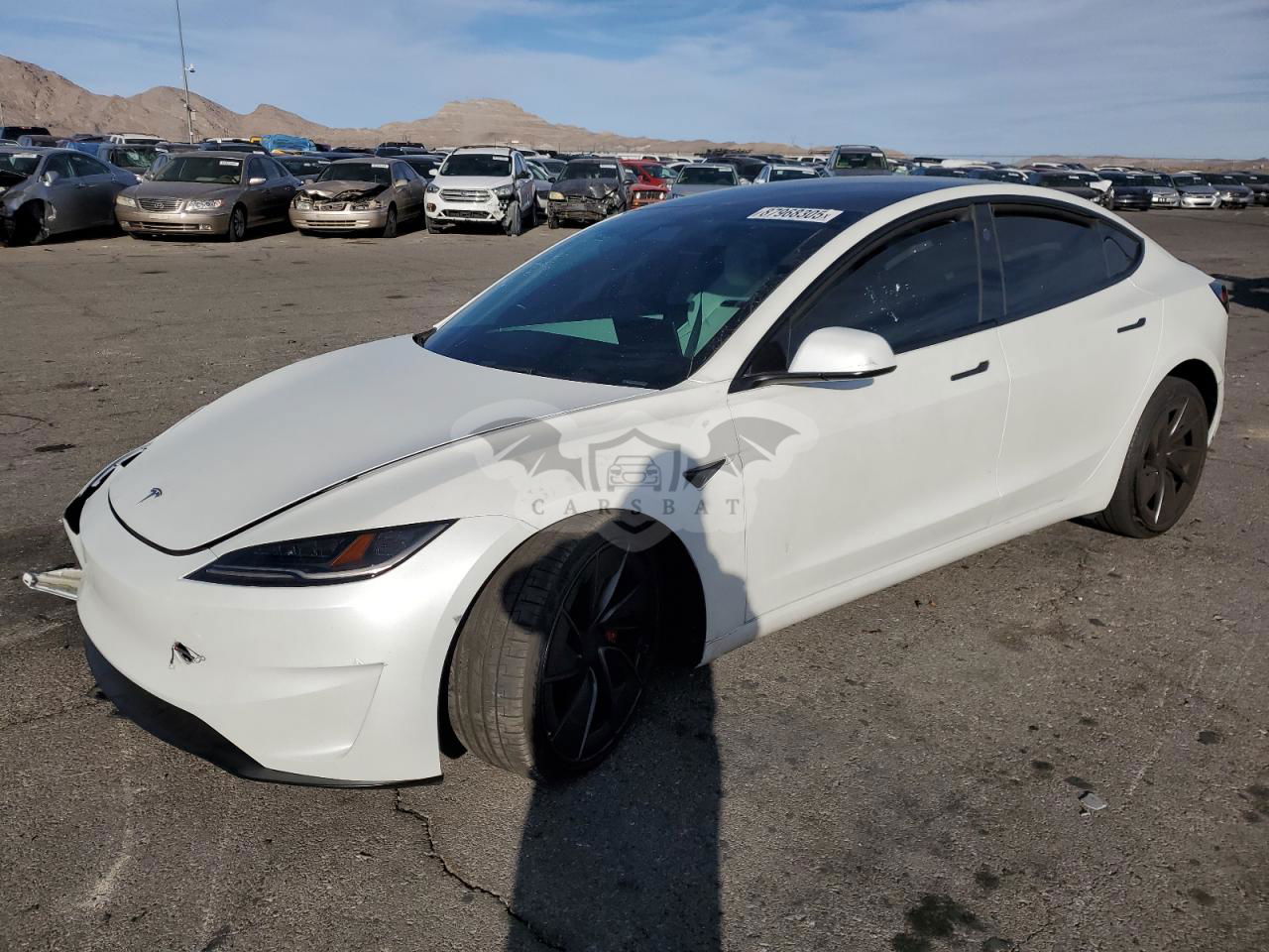 Tesla Model 3 2024