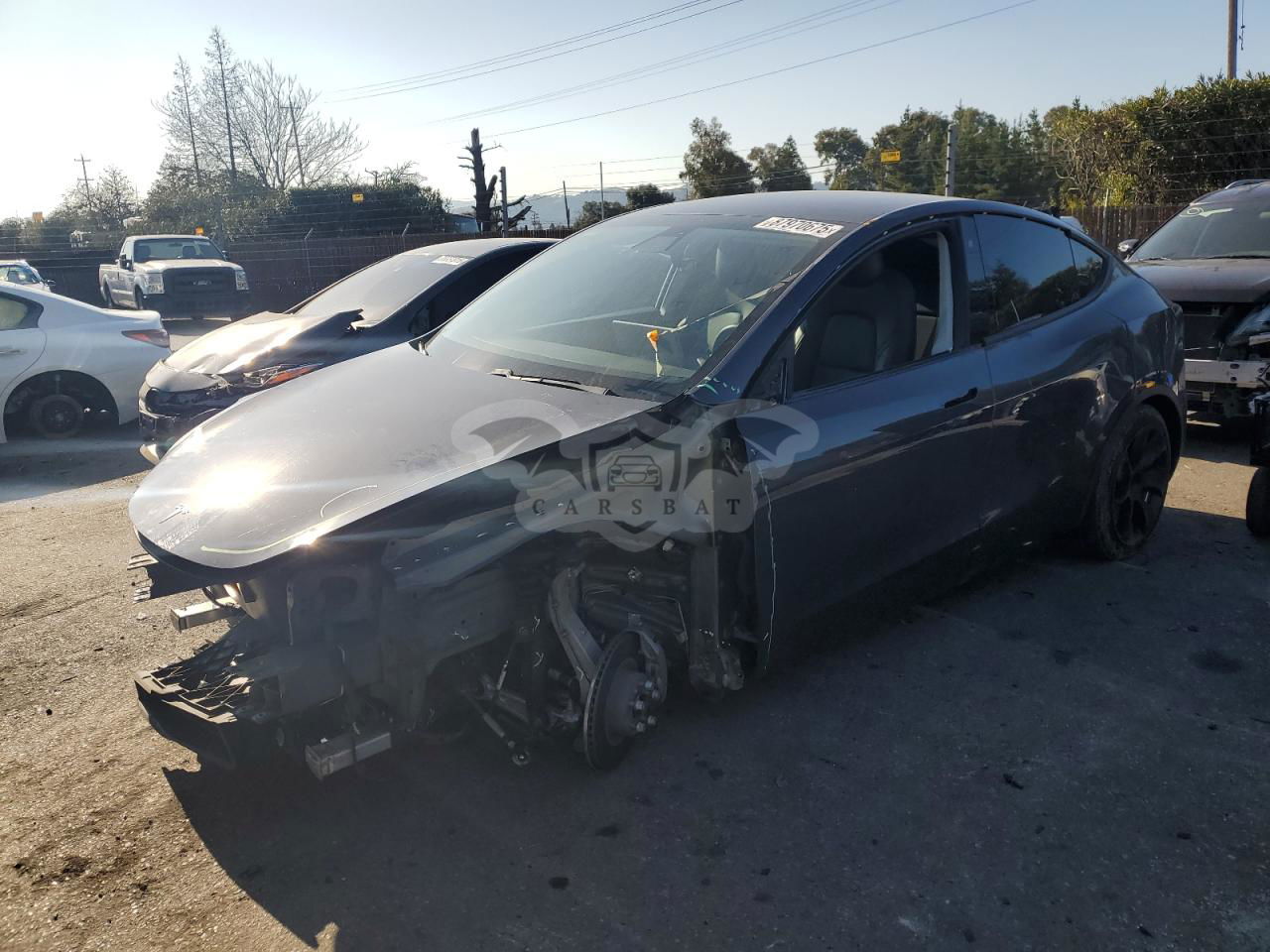 Tesla Model Y 2020