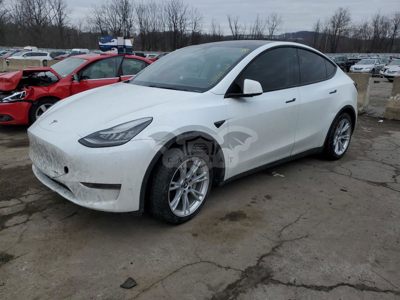 Tesla Model Y 2020