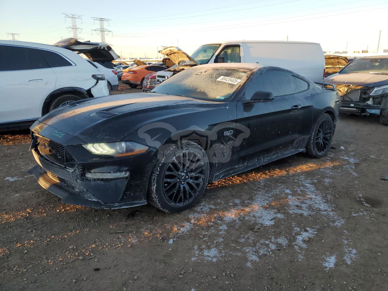 Ford Mustang GT 5.0L  8 2021