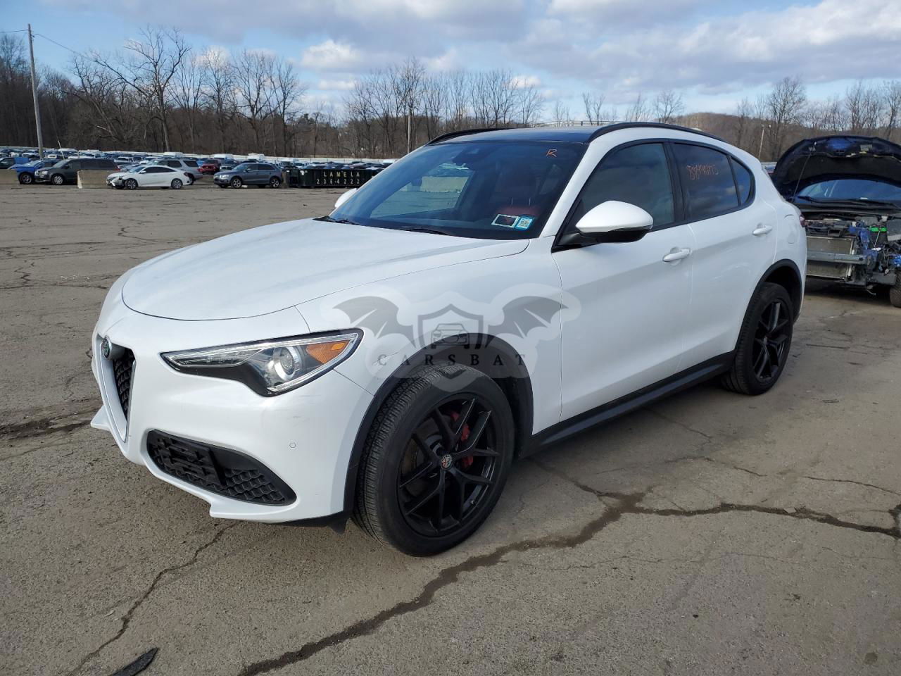 Alfa Romeo Stelvio TI 2.0L  4 2019