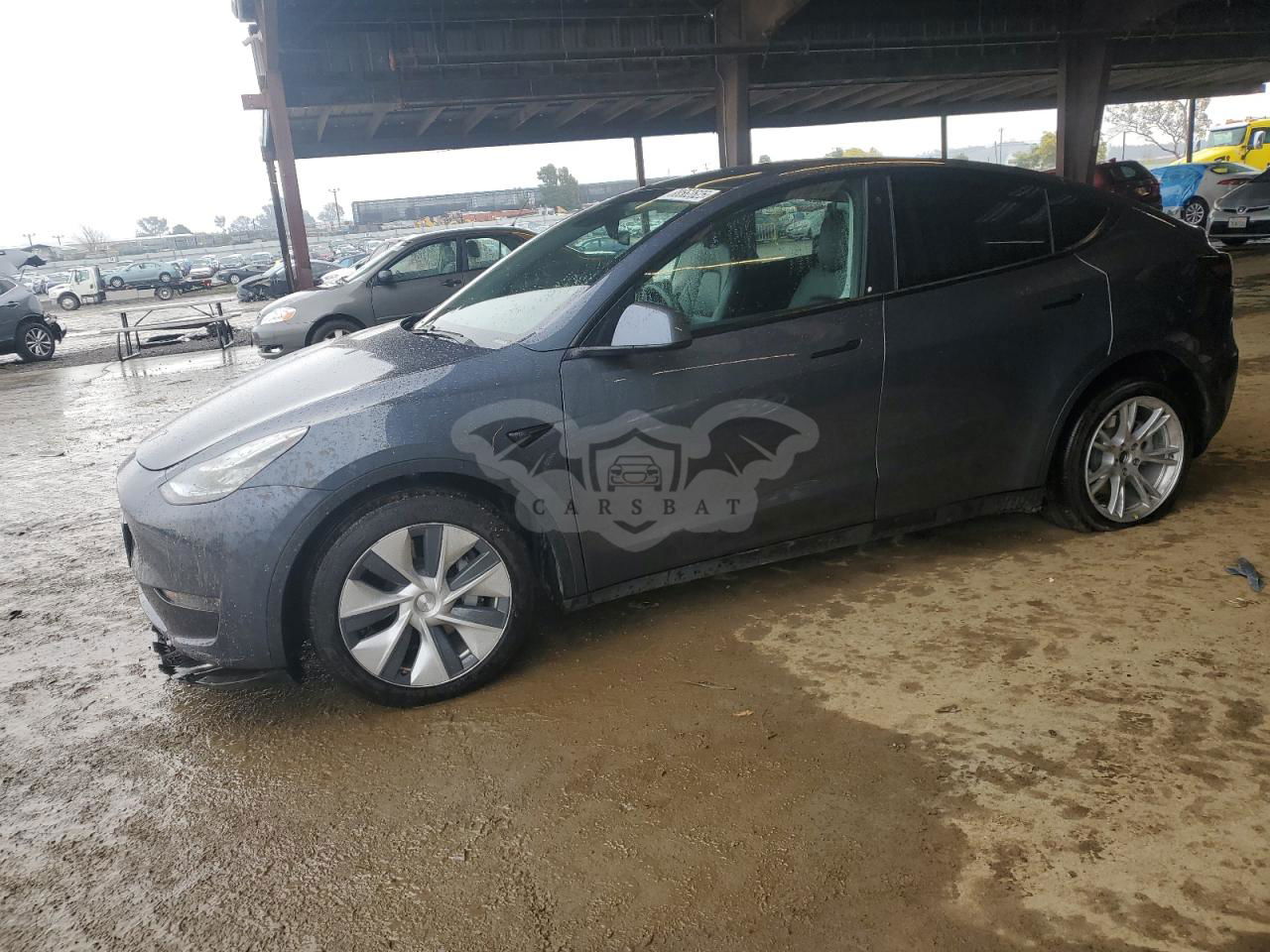 Tesla Model Y 2020
