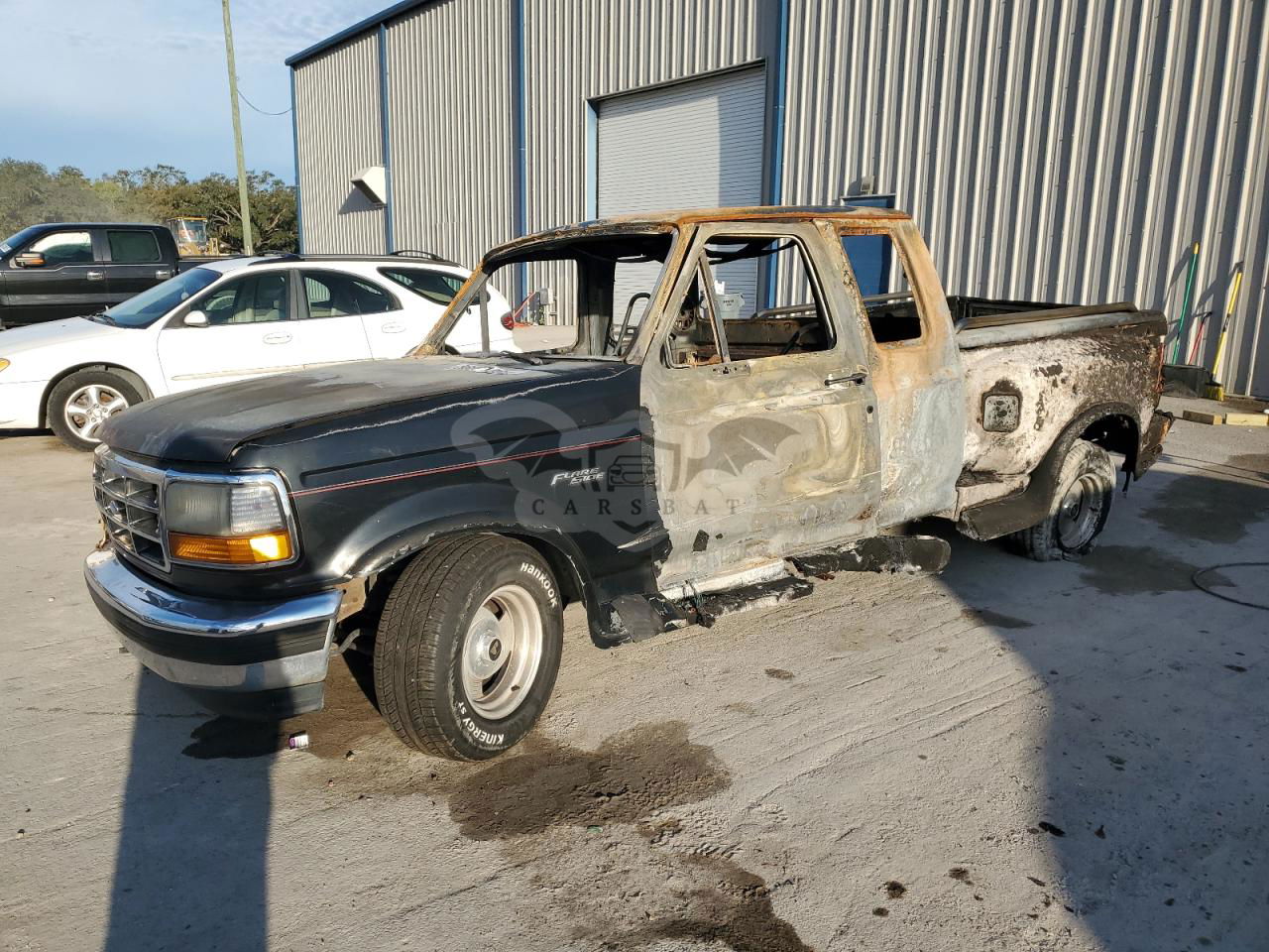 Ford F-150 5.0L  8 1995