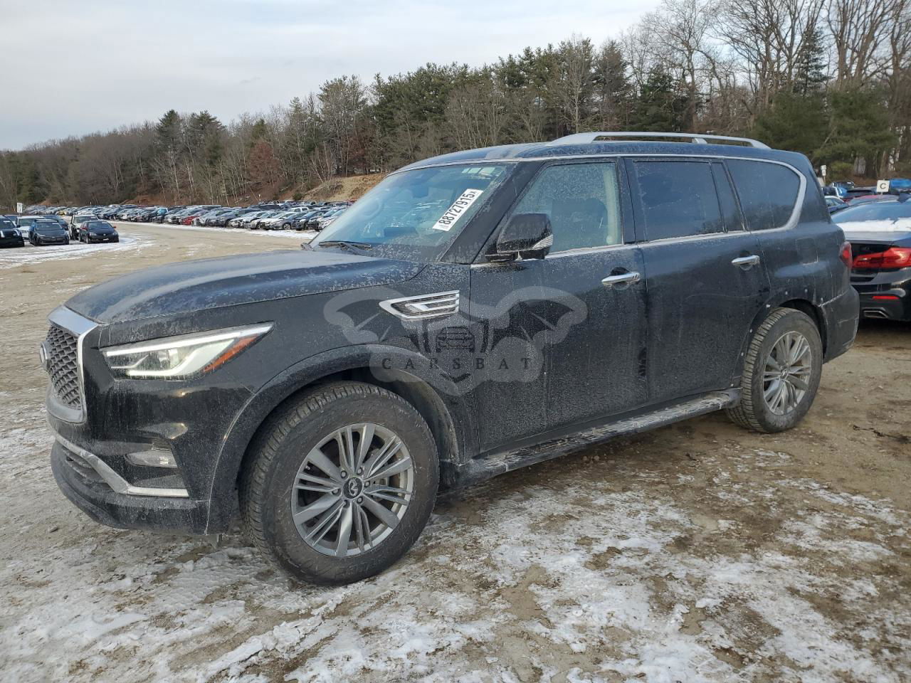 Infiniti QX80 5.6L  8 2023