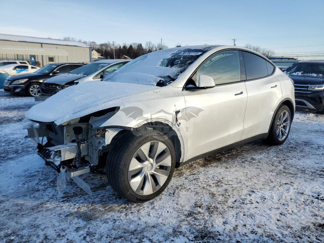 Tesla Model Y 2024
