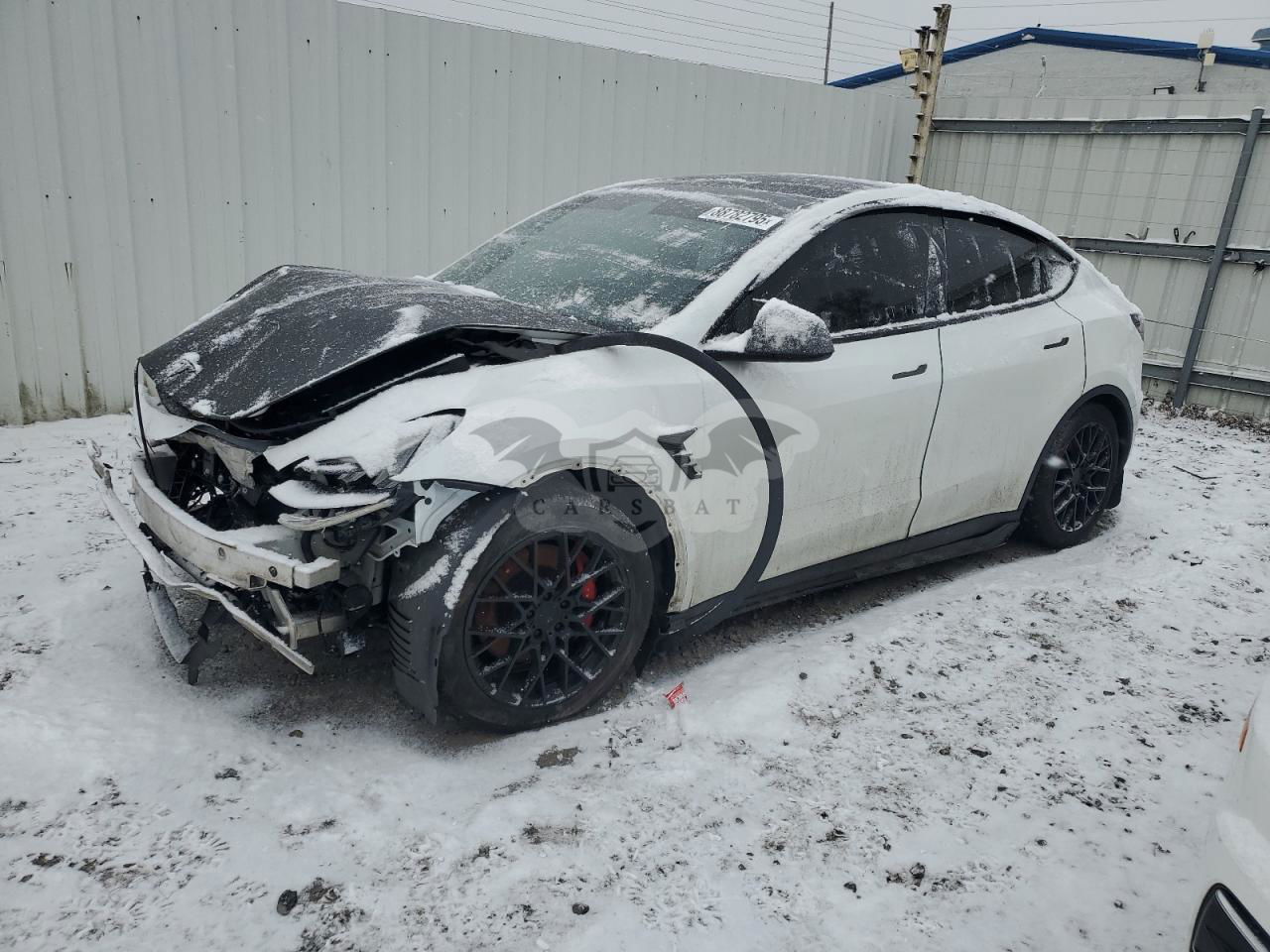 Tesla Model Y 2020