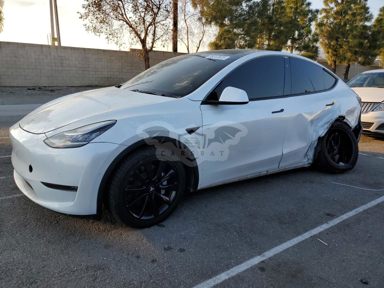 Tesla Model Y 2020