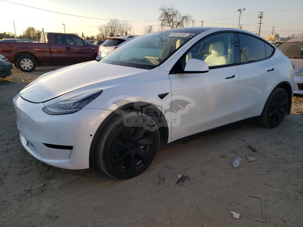 Tesla Model Y 2020