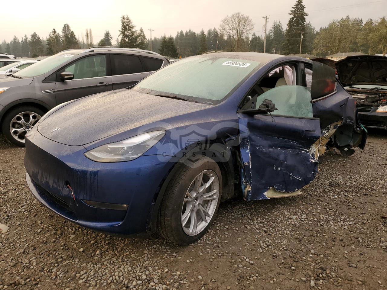 Tesla Model Y 2024