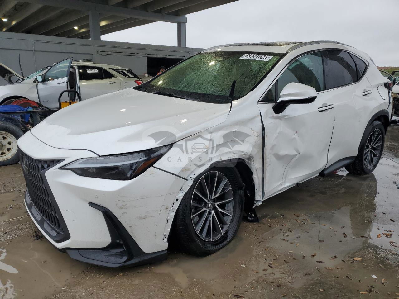 Lexus NX 250 PREMIUM 2.5L  4 2024