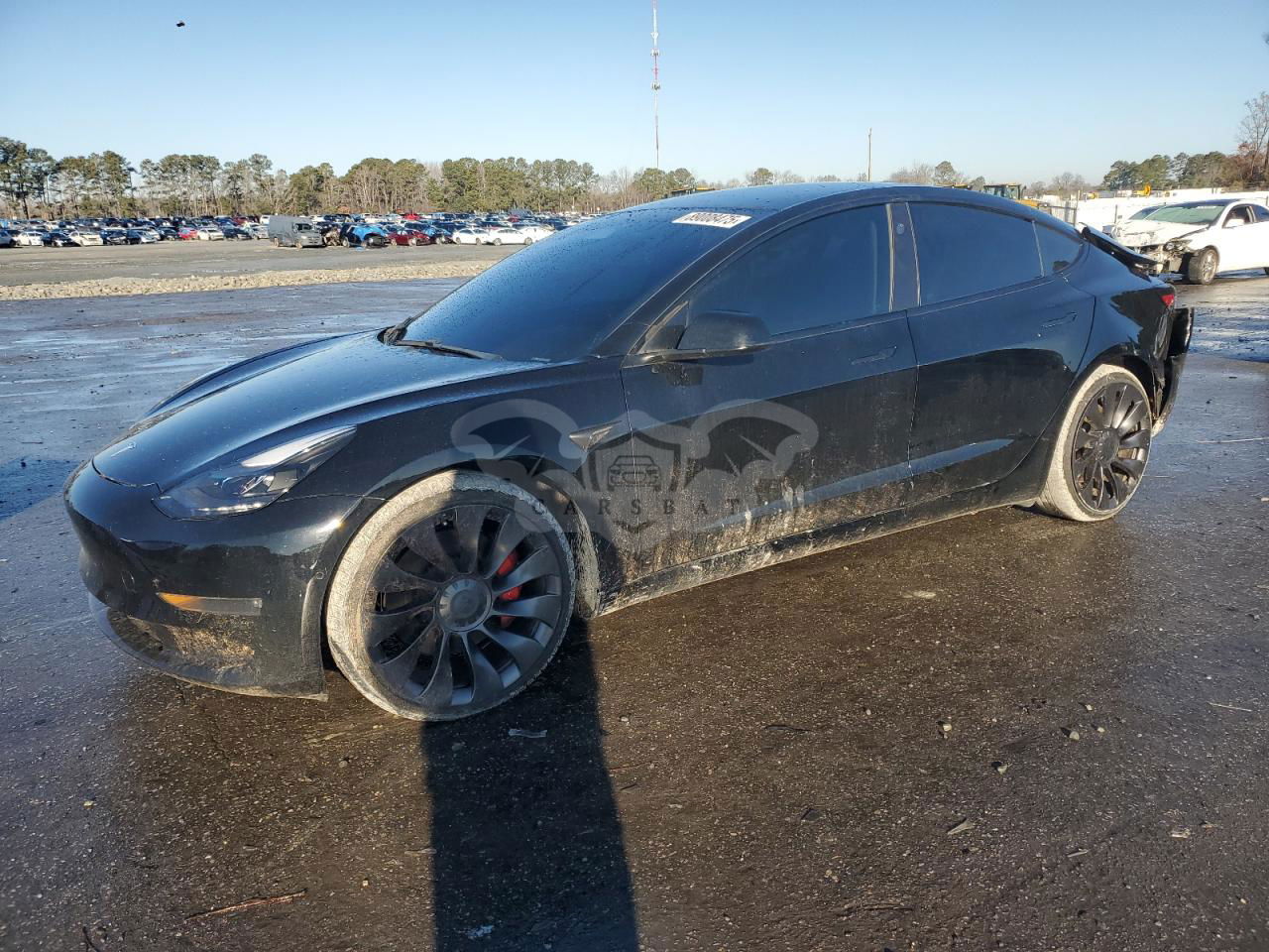 Tesla Model 3 2022