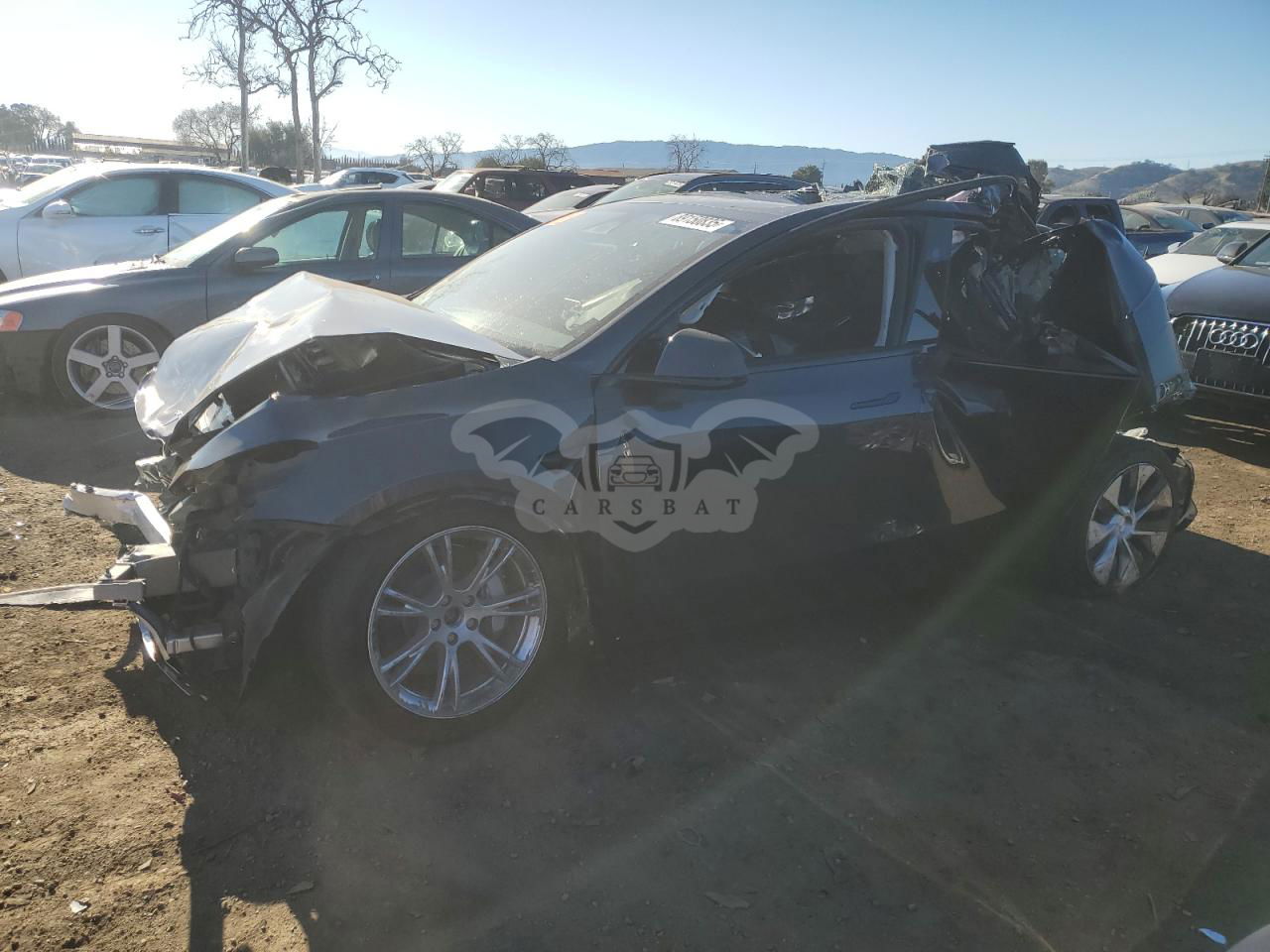 Tesla Model Y 2024