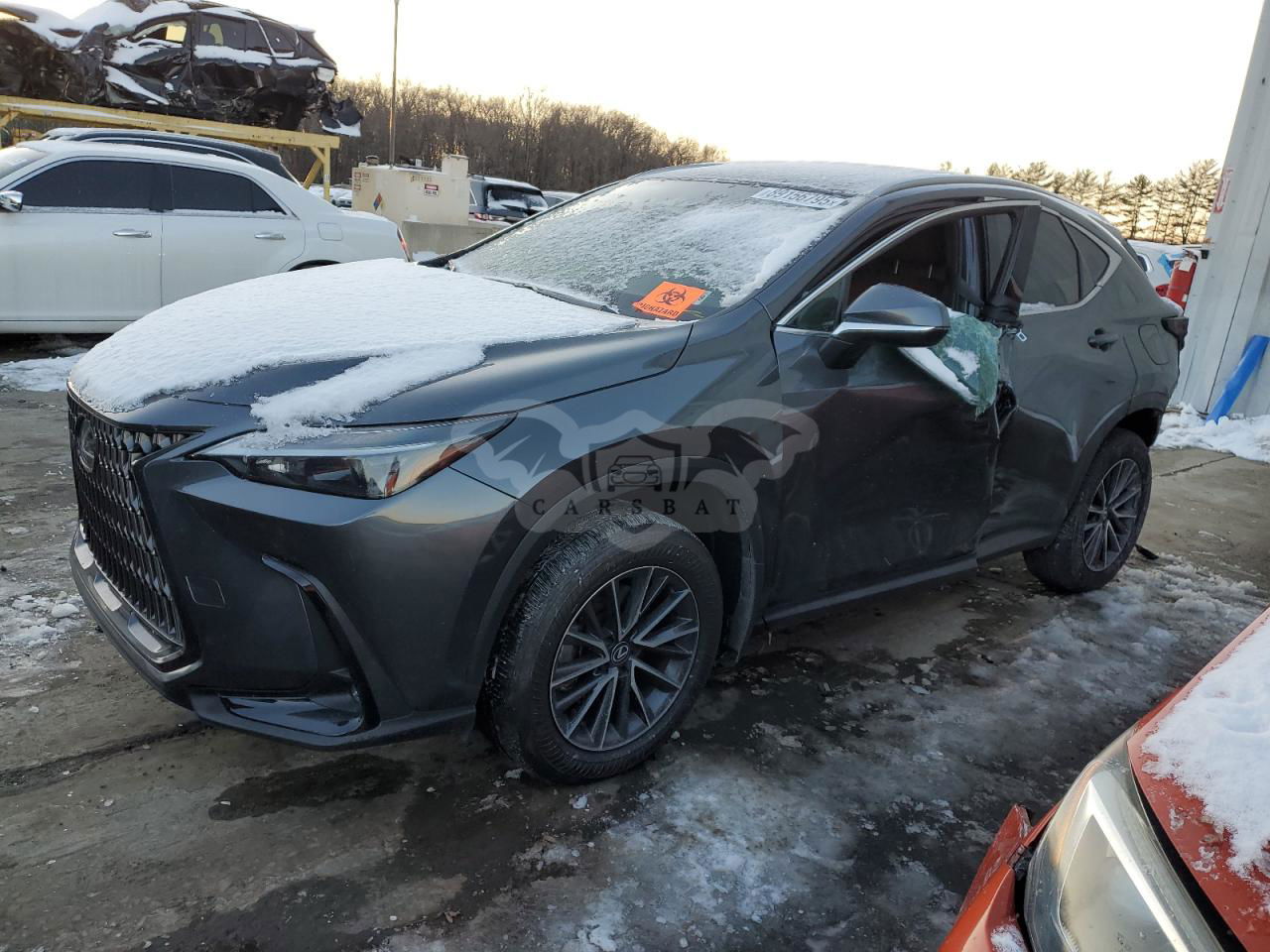 Lexus NX 350 BASE 2.4L  4 2024