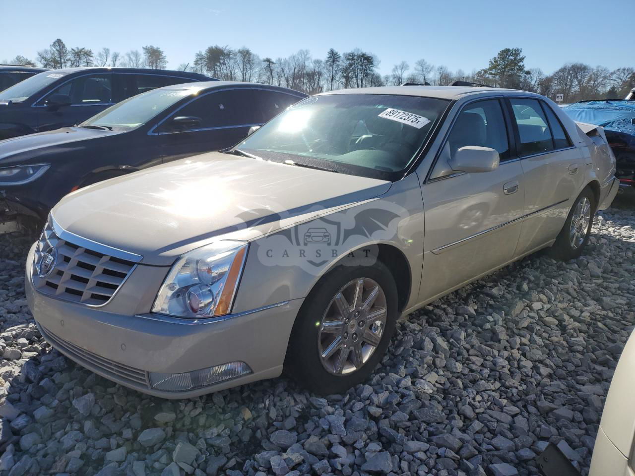 Cadillac DTS PREMIUM COLLECTION 4.6L  8 2010