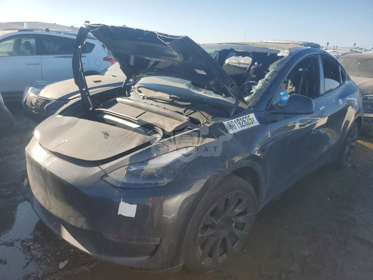 Tesla Model Y 2024
