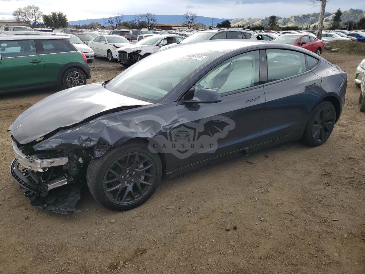 Tesla Model 3 2024