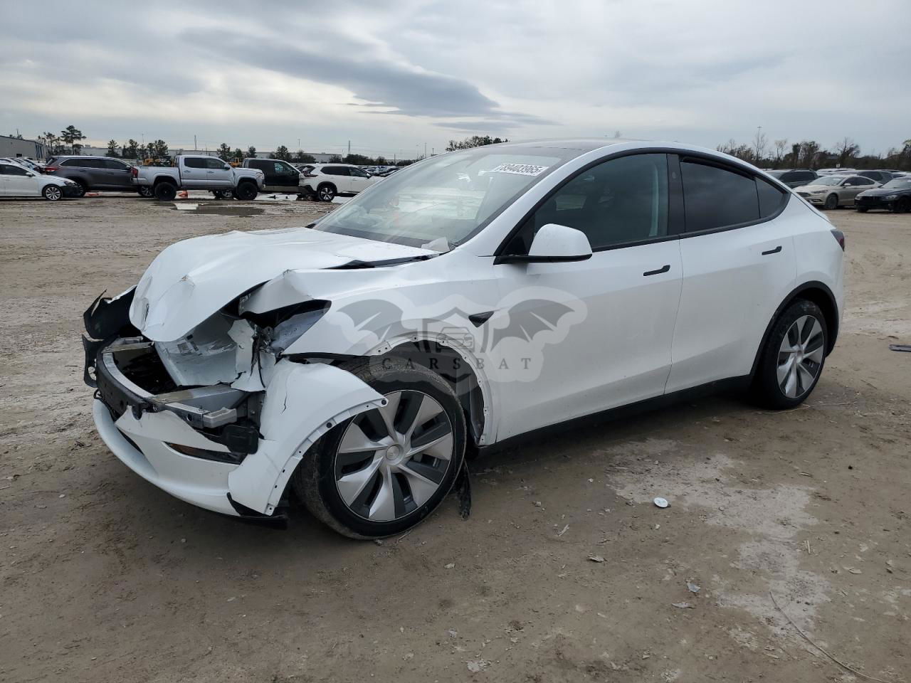 Tesla Model Y 2024