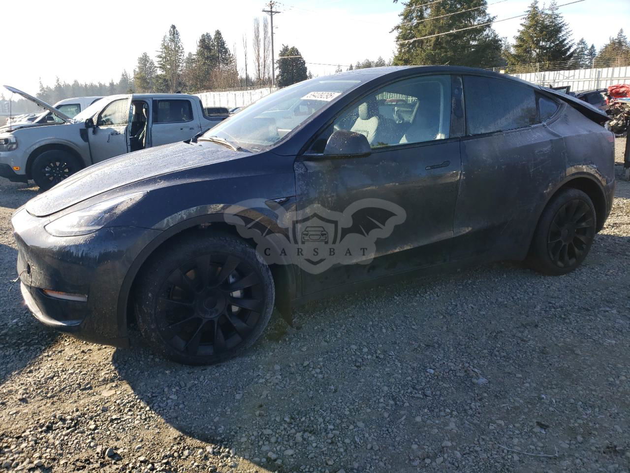 Tesla Model Y 2024